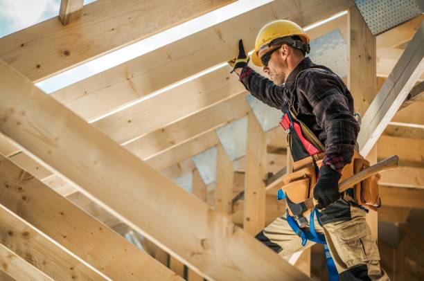 Best Roof Gutter Cleaning  in Oak Grove, MN
