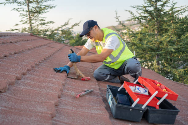 Best Storm Damage Roof Repair  in Oak Grove, MN